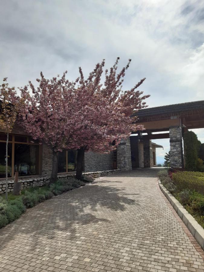 Blue Apartment Pirin Golf & Spa Банско Екстериор снимка